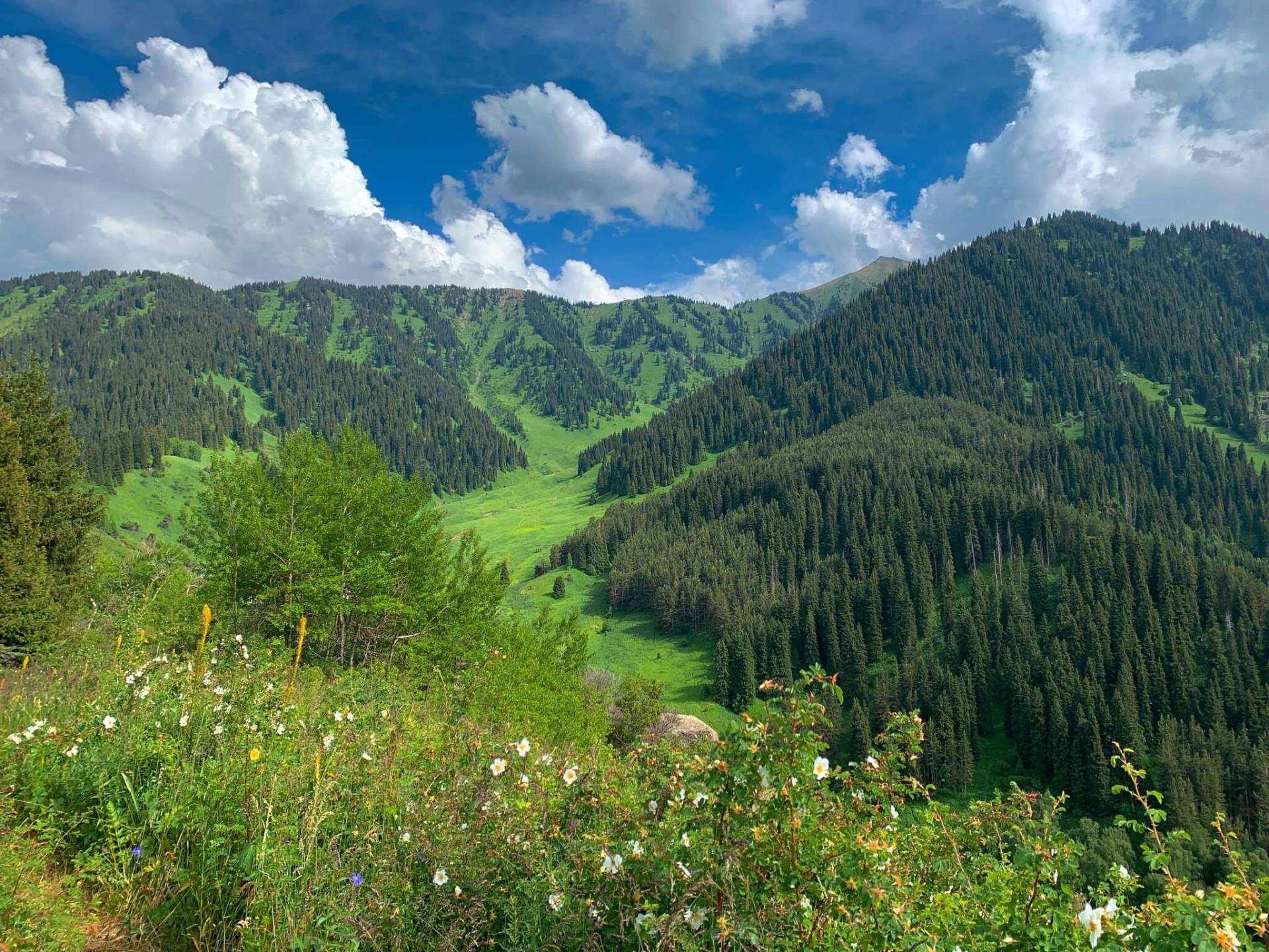 Almaty mountains